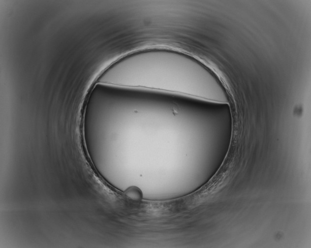 X0000100880799200806201145