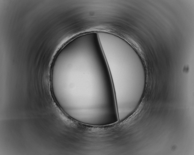 X0000100880800200806201145