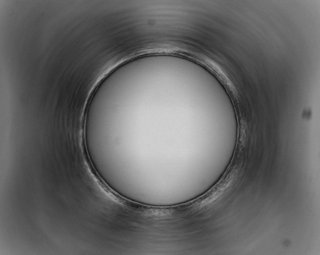 X0000100880802200806201145