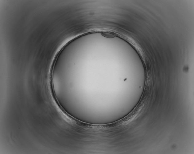 X0000100880803200806201145