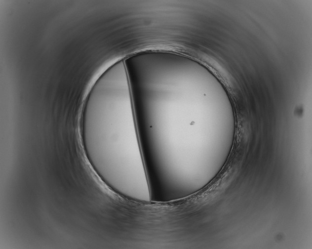 X0000100880804200806201145
