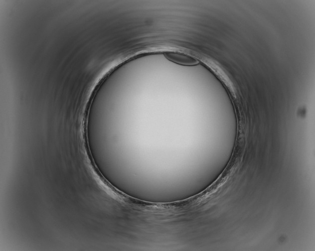 X0000100880805200806201145