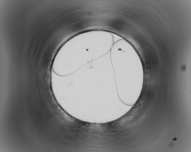 X0000100880807200806201145