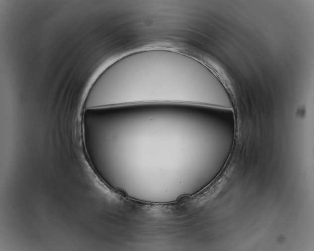 X0000100880808200806201145