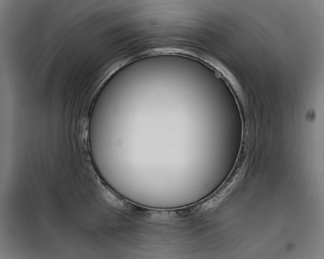 X0000100880809200806201145