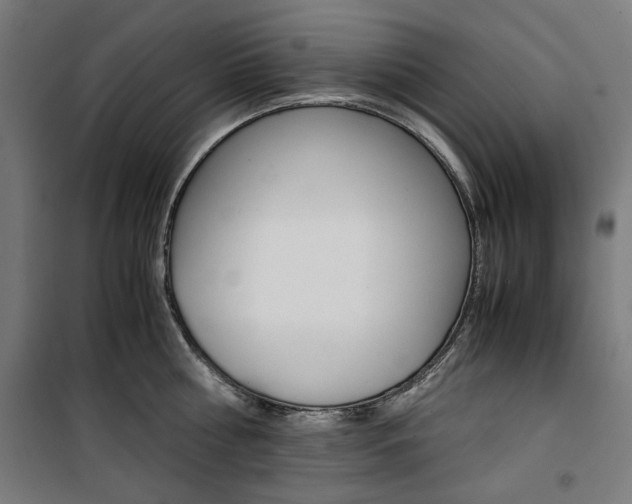 X0000100880810200806201145