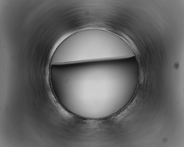 X0000100880812200806201145