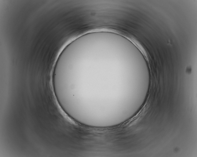 X0000100880813200806201145