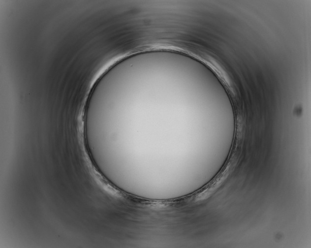 X0000100880814200806201145