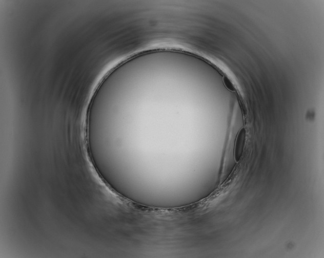 X0000100880815200806201145