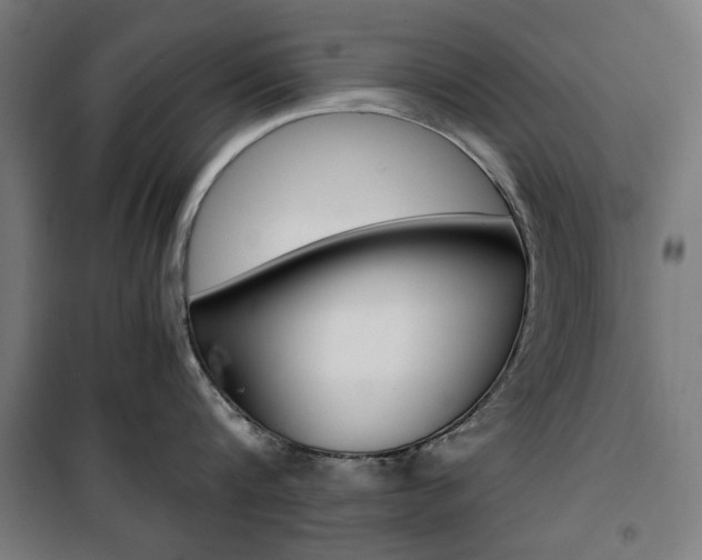 X0000100880816200806201145