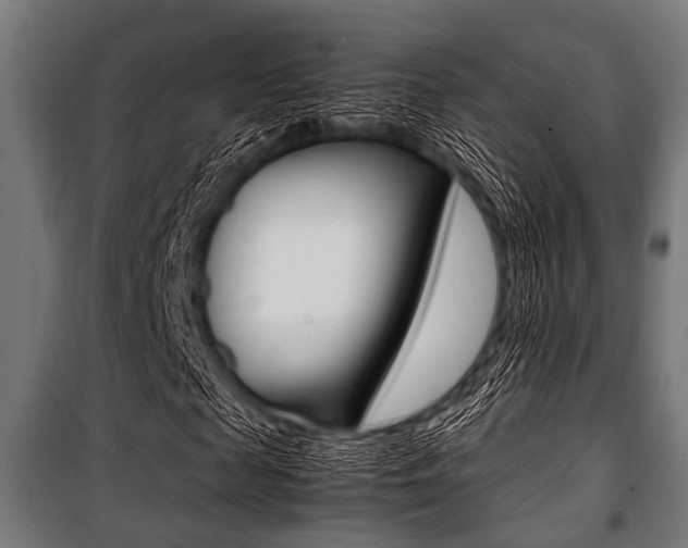 X0000100880817200806201144