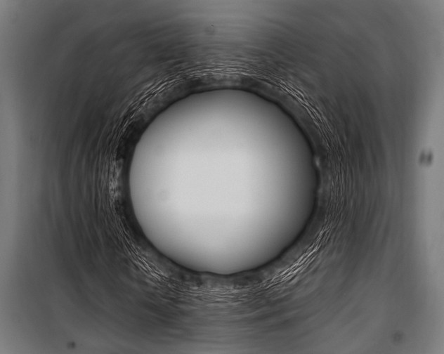X0000100880818200806201144