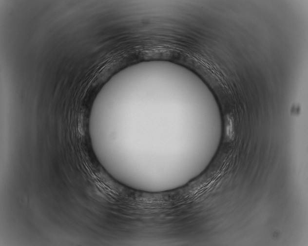 X0000100880819200806201144