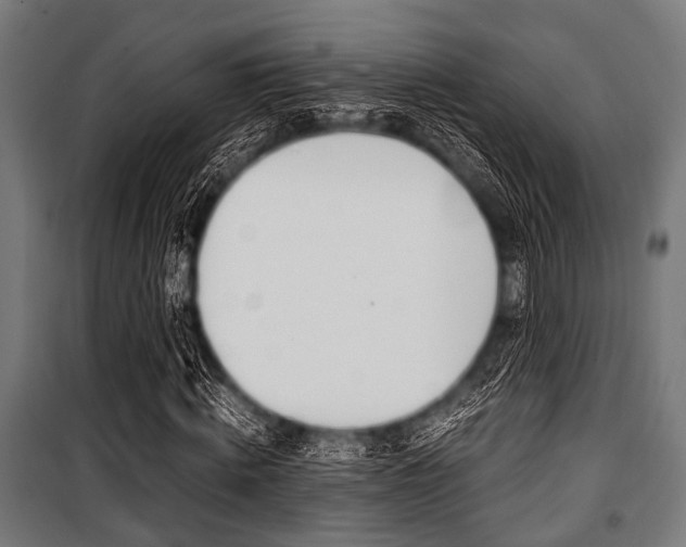 X0000100880820200806201144