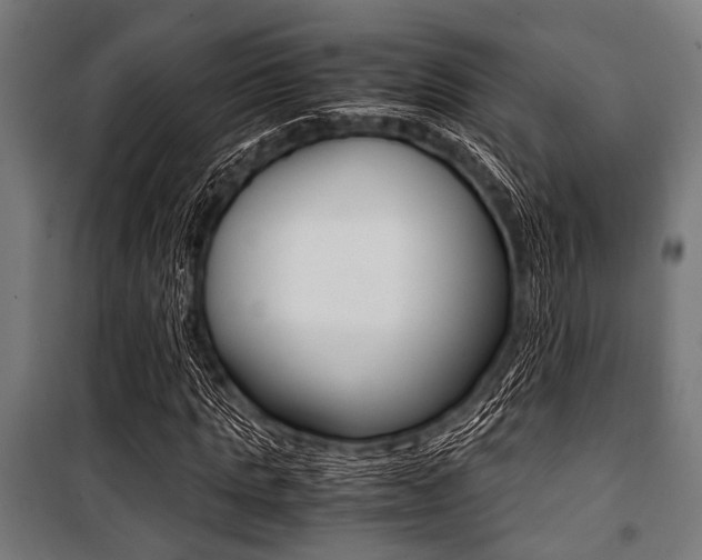 X0000100880821200806201144