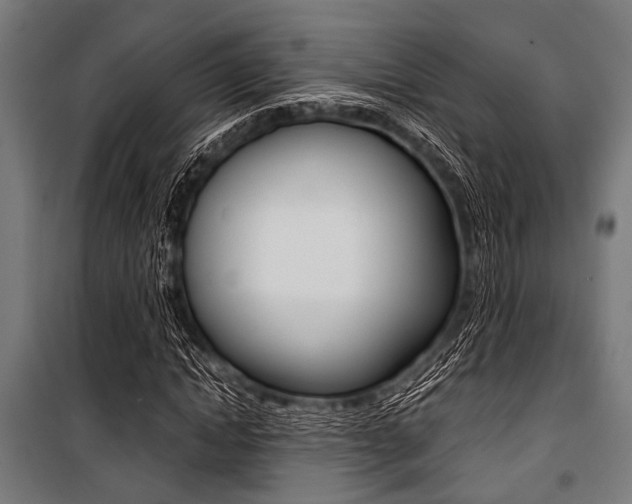 X0000100880822200806201144