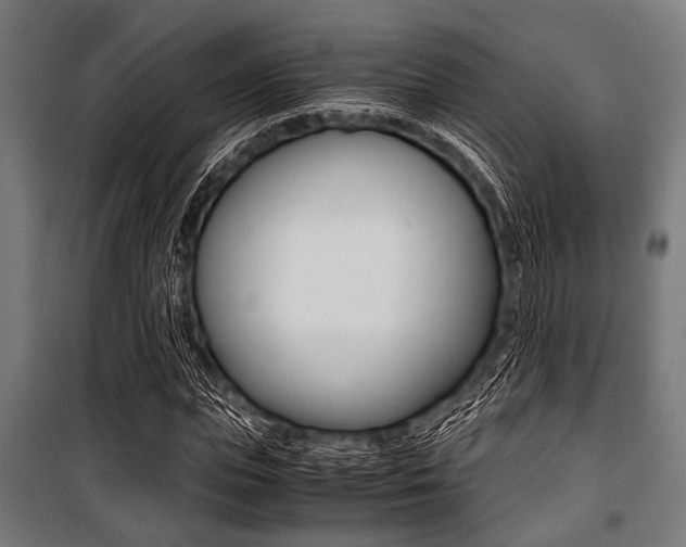 X0000100880823200806201145