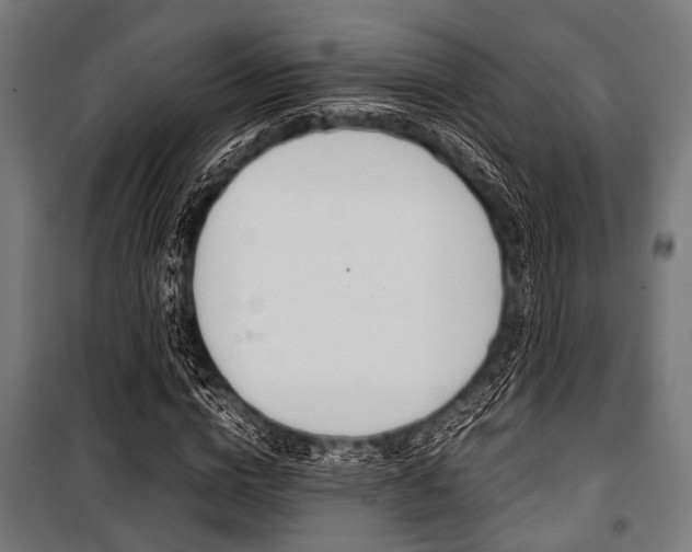 X0000100880824200806201145