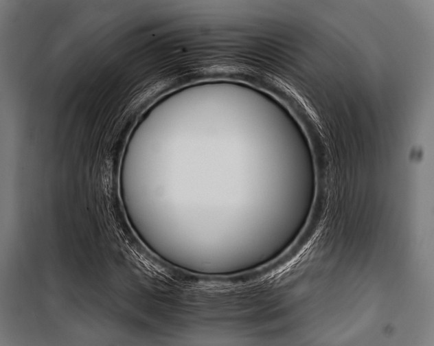 X0000100880825200806201145