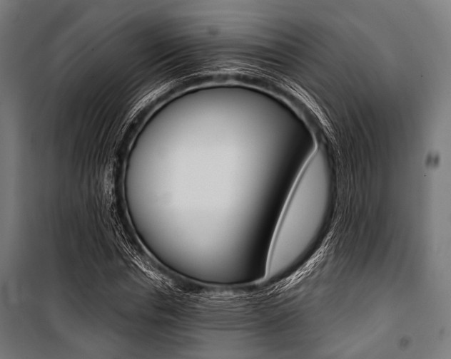 X0000100880826200806201145