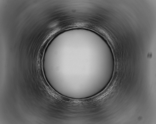 X0000100880827200806201145