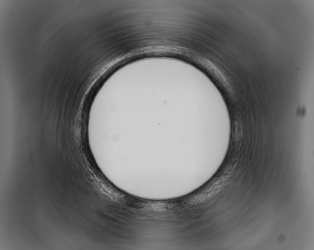 X0000100880828200806201145