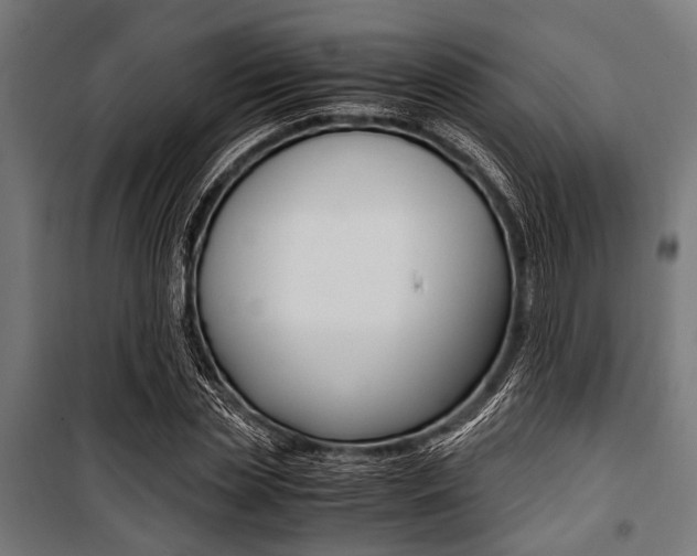 X0000100880829200806201145