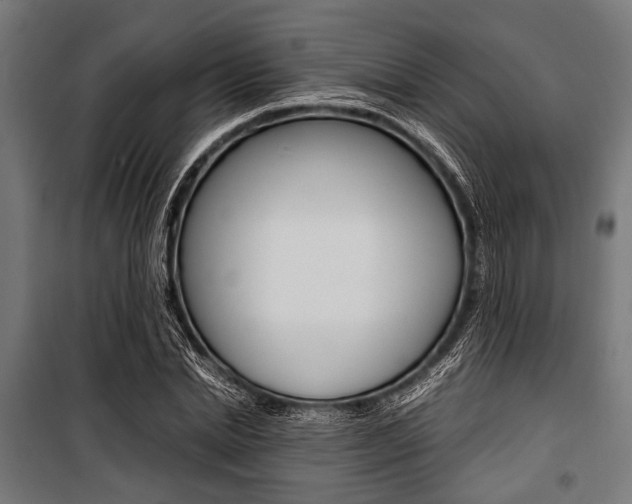 X0000100880830200806201145