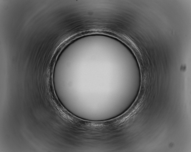 X0000100880831200806201145