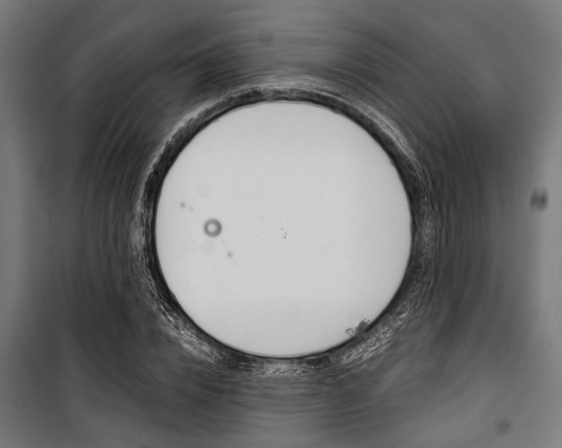 X0000100880832200806201145