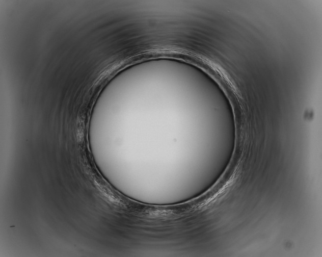 X0000100880833200806201145