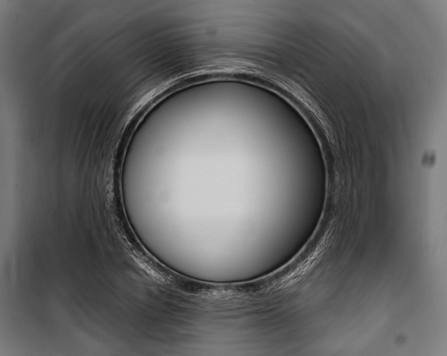 X0000100880834200806201145