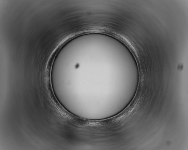 X0000100880835200806201145