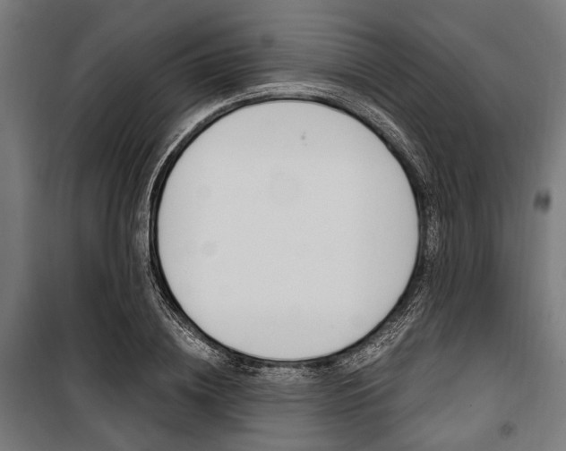 X0000100880836200806201145