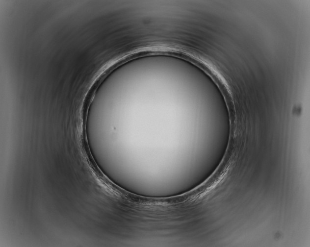 X0000100880837200806201145