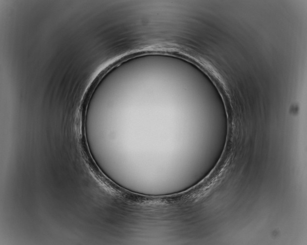 X0000100880838200806201145