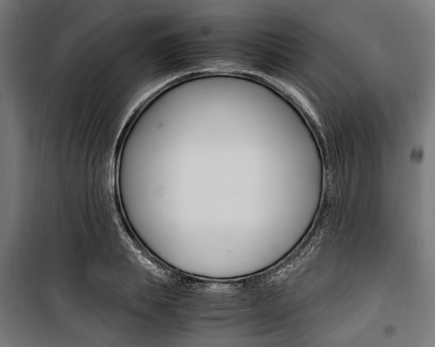 X0000100880839200806201145