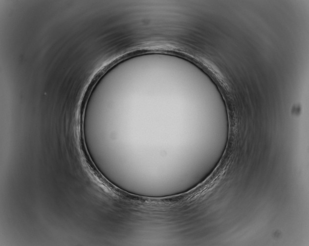X0000100880840200806201145