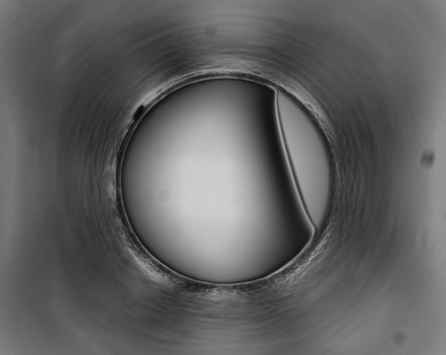 X0000100880842200806201145