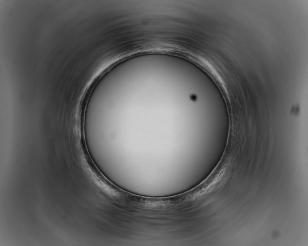 X0000100880843200806201145