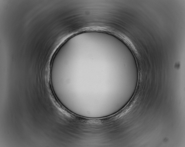 X0000100880844200806201145