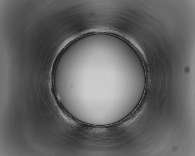 X0000100880845200806201145