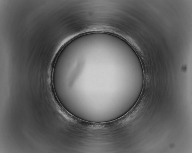 X0000100880846200806201145