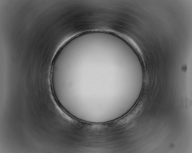 X0000100880847200806201145