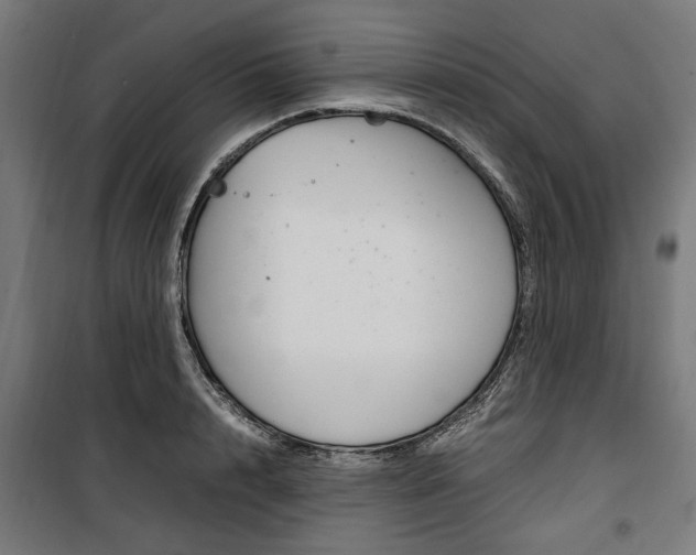 X0000100880848200806201145