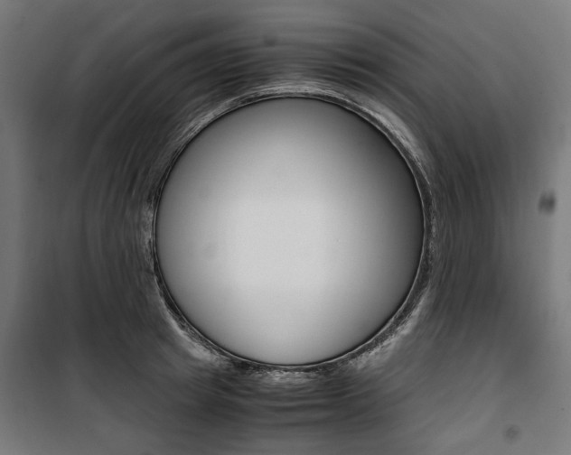X0000100880849200806201145
