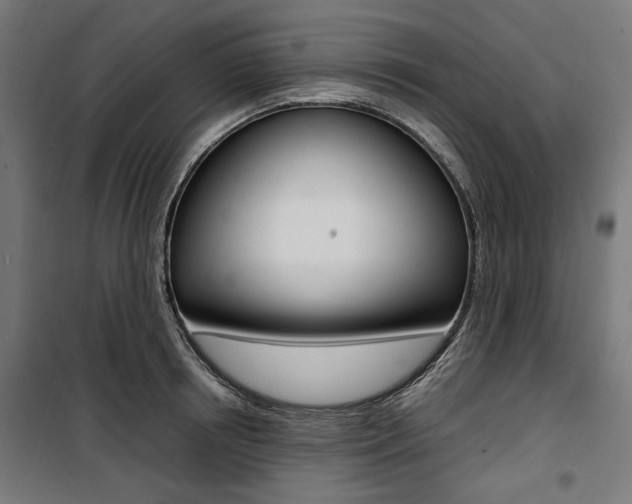 X0000100880850200806201145