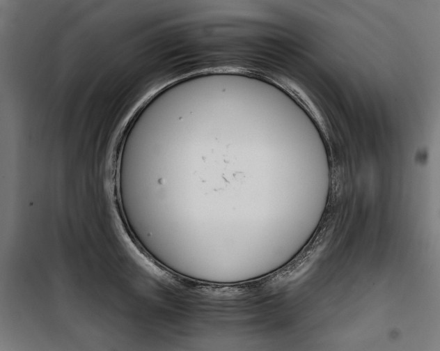 X0000100880851200806201145