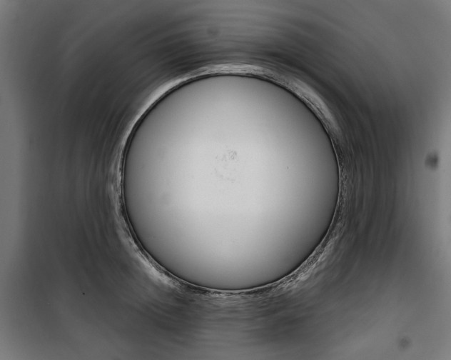 X0000100880852200806201145